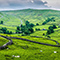 Natural England